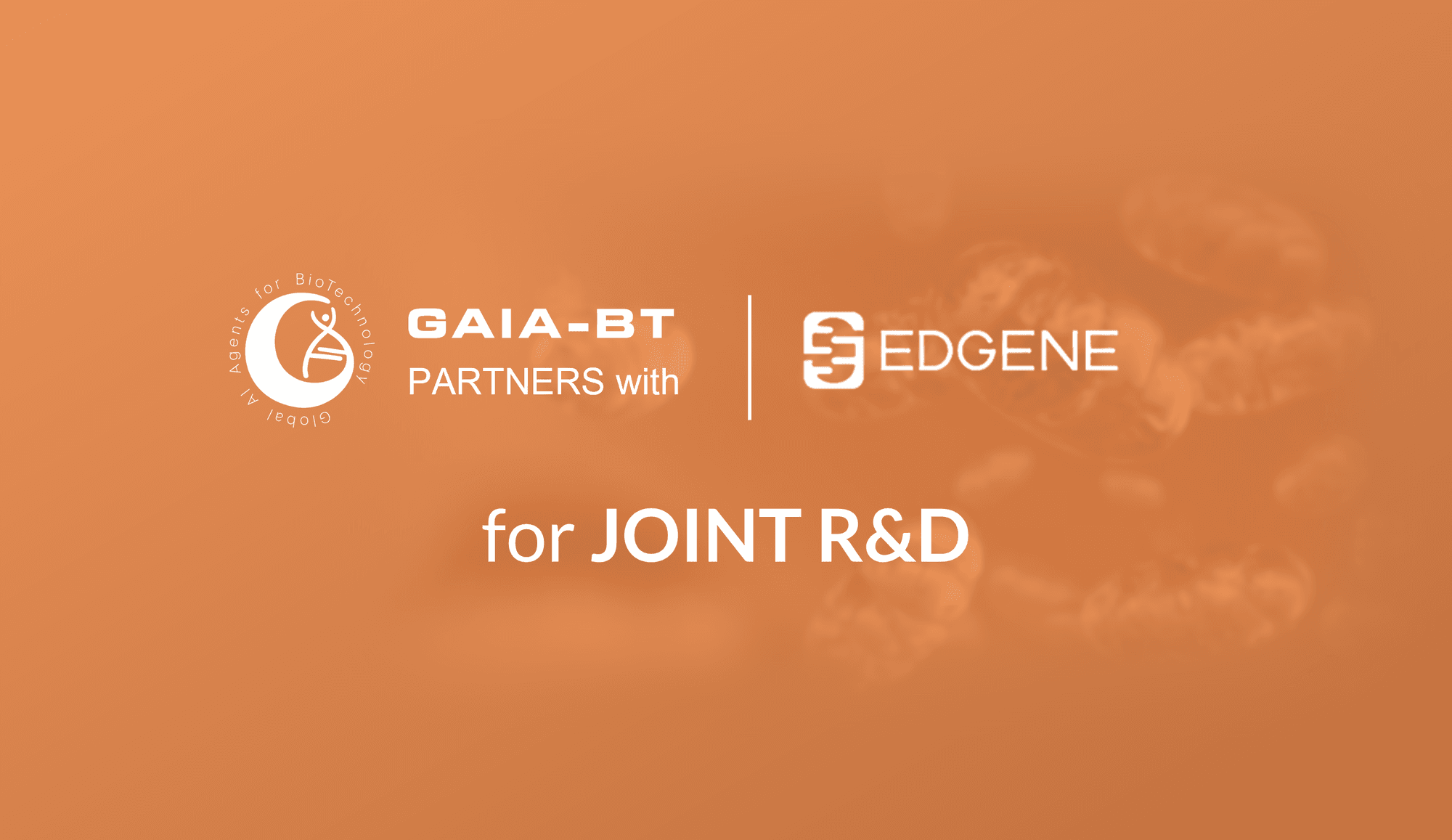 Banner announcing GAIA-BT's partnership with EDGENE for joint R&D, over an orange-toned DNA strand background.